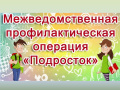 Межведомственная профилактическая операция «Подросток»